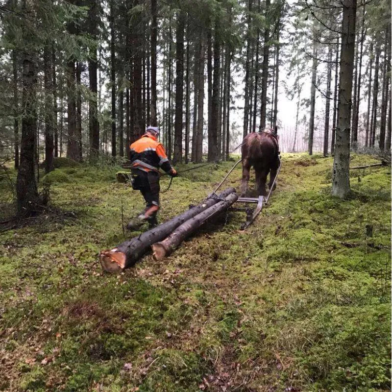 Gallring i hela Sörmland
