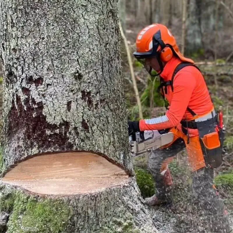 Manuell huggning i hela Sörmland