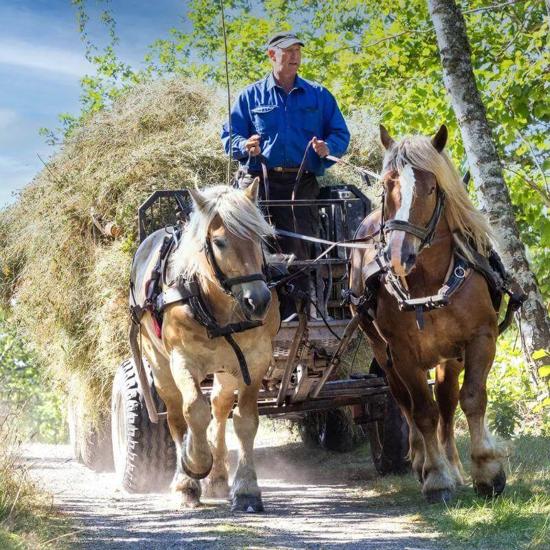 Fokus på skogsägarna