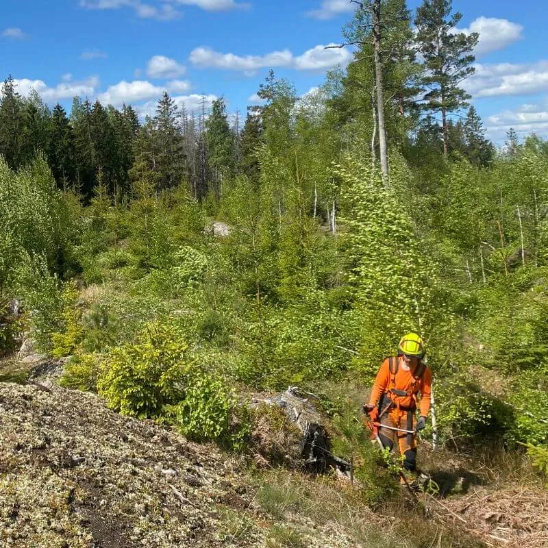 Hur fungerar röjning